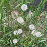 아스트로 진진 인스타 <b>문빈</b>