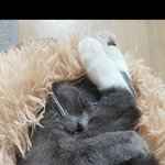 아니 이사진 자세 개웃기네