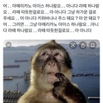 이 짤 보고 난 뒤로 결정 빠릿하게 하게 됨
