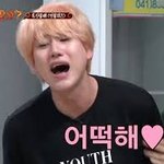 [댓글부탁해] 얘들아 진짜 급해 아는 애들은 댓써주고가
