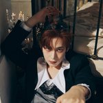 [모두드루와] 엔하이픈 첫 컨포 뱀파이어 제대로네…