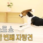 비투비 이창섭 강형욱한테 <b>개스</b>라이팅 당함ㅜㅜㅋㅋㅋㅋㅋㅋ