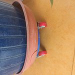 서울에 <b>고무</b> 다라이? 플라스틱 다라이? 오프라인으로 어디서 팔까요...