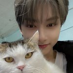 내사고