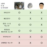 [19] 너네 한 <b>마리</b>만 살릴 수 있으면