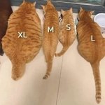 <b>비바람</b> 태풍급이네