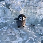 [TXT] 애들 <b>선배네</b>처럼 여행 컨텐츠 찍어줬음 좋겠다