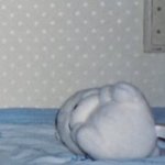 [ZB1] 태래 옆에 <b>인형</b> 엎어져 있는거 왤케 귀엽냐