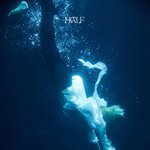 엔하이픈 <b>무드</b> 보드 떴다