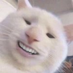[댓글부탁해] 너희 나라면 <b>쌍수</b>할거임?