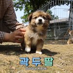 [ㅈㄱㄴ] 마라샹궈 무슨 맛임?