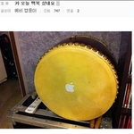 [댓글부탁해] 몸도 <b>난자</b>처럼 얼릴수있으면 좋을거같지않냐