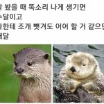 독서실 중학생들 안 받으면 좋겠다 ㄹㅇ