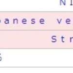 [스키즈] 오리콘차트 스키즈