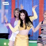 [댓글부탁해] 사나 정도면 개말라지?