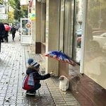 [모두드루와] 제발 기획사들 피프티피프티 보고