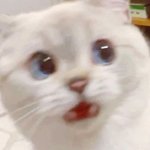 <b>놀란</b> 눈