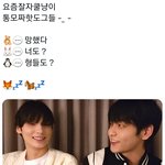 [TXT] 이거 너무 귀엽다ㅋㅋㅋ
