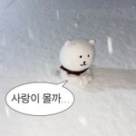 [드루와] 모솔인데 <b>대시</b>도 받고 썸도 여러번 타보고