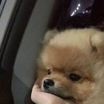 [드루와] 대학오니까 예체능 흡연률 왤케 높은지 알겠다