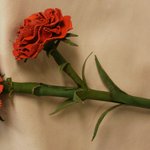 [가죽<b>공예</b>] 마디샤 가죽 <b>공예</b>-가죽 카네이션