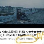[스키즈] <b>미국</b> <b>인동</b>도