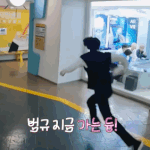 [TXT] <b>신난</b> 말티즈