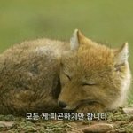 [댓글부탁해] 너네 피부 <b>수정화장</b> 뭘로 어케함