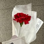 어버이날이라고 카네이션 준 아이돌