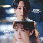 요즘 볼 거 많다는 방영중인 드라마 라인업