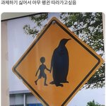 [댓글부탁해] 난 걍 대학 못갈듯
