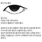 [댓글부탁해] 너네 주위에 이런 눈 가진애 있냐