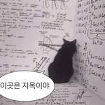 나 얼굴 작고 다리 길다는데