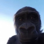 내가 극혐하는 mbti