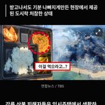 강릉 산불 이재민 도시락 논란