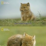 [댓글부탁해] 와 <b>마킹</b> 실수 미쳣나바;;