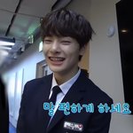 [스키즈] 테이들 비상 비상