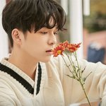 트레저 컴백 <b>기원</b> 정권찌르기
