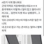 [NCT드림] 중국 댈티 ㄹㅈㄷ