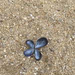 이 글을 보면 행운이 찾아<b>온대</b>