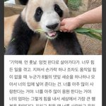 [19] 키치 장원영 <b>도입부</b> 호불호 갈린다길래