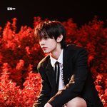 박성훈 종아리에 <b>가터</b>벨트