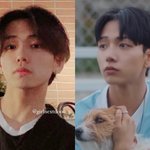 인스타충의 <b>허상</b>과 현실