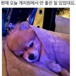 오늘 개<b>치원</b>에서