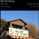 <b>손재주</b> 좋은 사람들 부러워