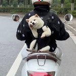 [댓글부탁해] 나 얼떨결에 ㅈ반고옴