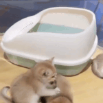 <b>온몸</b>이