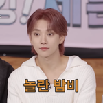 [세븐틴] 캐럿이 되었습니다