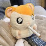아니 네이트판 신고당해서 경찰오는 기준이 뭐임???