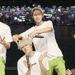 [NCT드림] 고양이<b>인척</b>하는 강아지